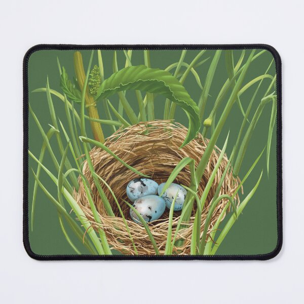 Item preview, Red Winged Blackbird Nest with Three Eggs designed and sold by Nick Garnhart.