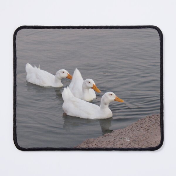Item preview, ducks in a row designed and sold by corvuspaceship.