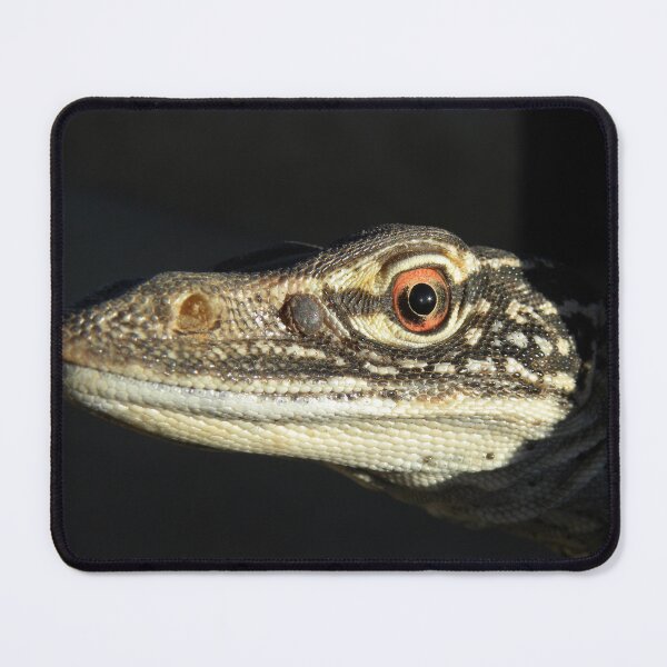 Item preview, Sand Monitor - Western NSW Australia designed and sold by HelenSpicerArt.