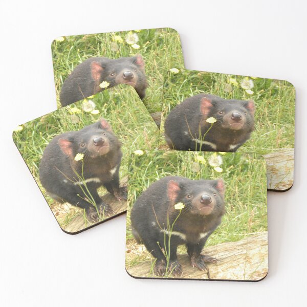 Item preview, Tasmanian Devil, Tasmania Australia designed and sold by HelenSpicerArt.
