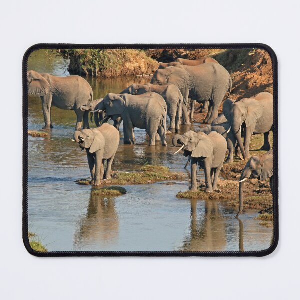 Item preview, African Elephant herd on river designed and sold by Ashley Crookes.