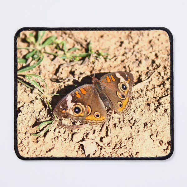 Item preview, Common buckeye butterfly  designed and sold by McFleur's Lens.