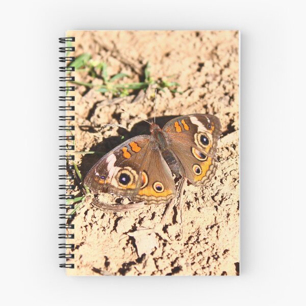 Item preview, Common buckeye butterfly  designed and sold by McFleur's Lens.