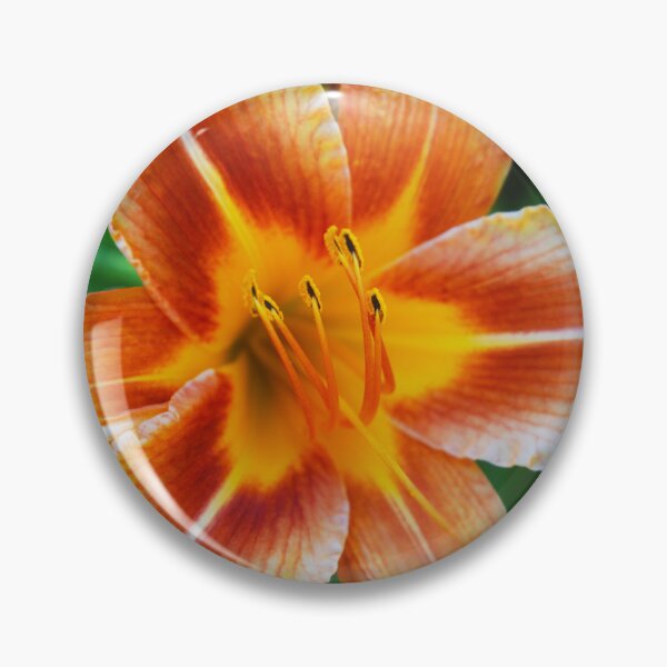 Item preview, Orange Day Lily Flower Photography designed and sold by ThePhotograph03.