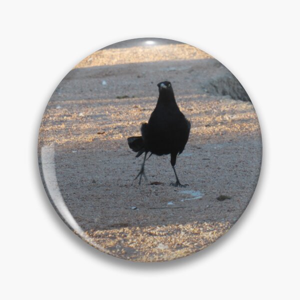 Artikelvorschau, merkwürdiger schwarzer Vogel entworfen und verkauft von corvuspaceship.