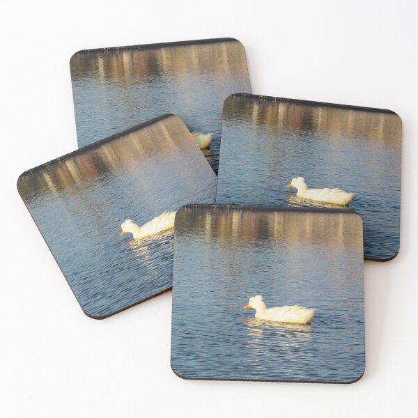 Item preview, duck in a pond designed and sold by corvuspaceship.