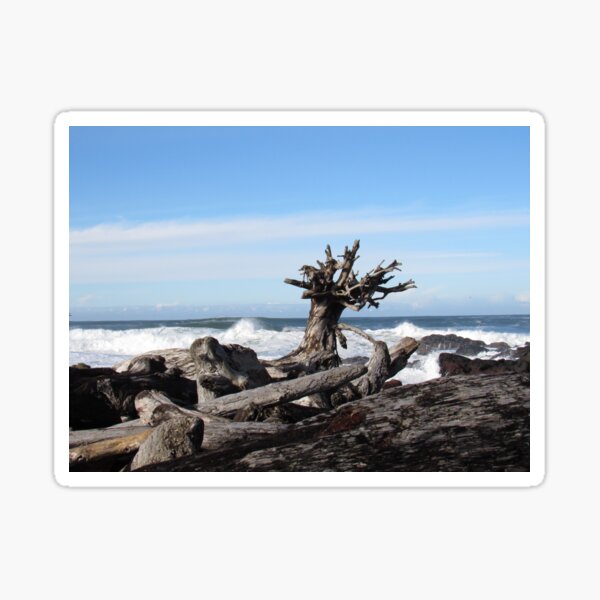 Item preview, drifted tree designed and sold by corvuspaceship.