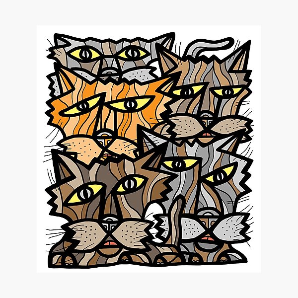 "Fun Kats" Photographic Print