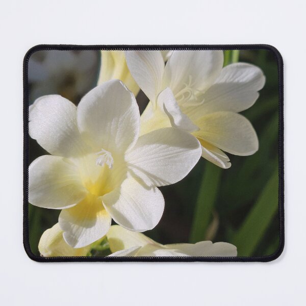 Item preview, Beautiful White Freesias Flowering In Spring  designed and sold by Designsbygroovy.