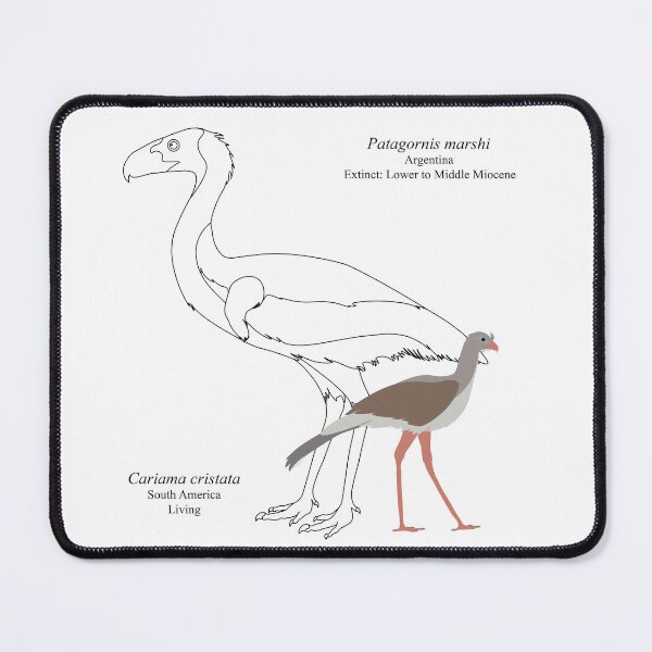 Item preview, Patagornis marshi y Cariama cristata designed and sold by EpochBirding.