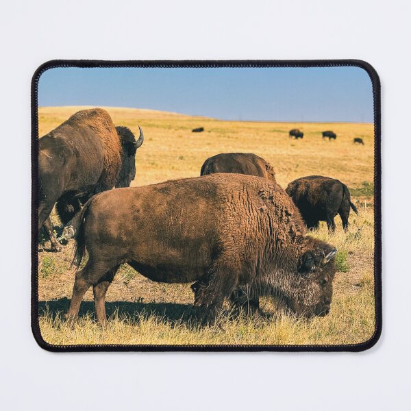 Item preview, American Bison designed and sold by LTSmash1200.