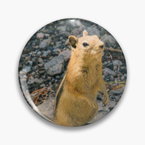 Item preview, Rocky Mountain Squirrel  designed and sold by LTSmash1200.