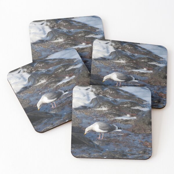 Item preview, seagull snacking designed and sold by corvuspaceship.