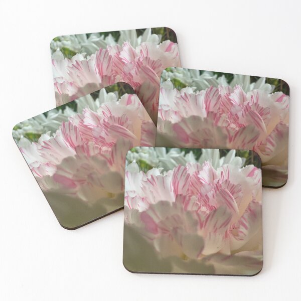 Item preview, Pink and White Petals designed and sold by Betsy Phillips.