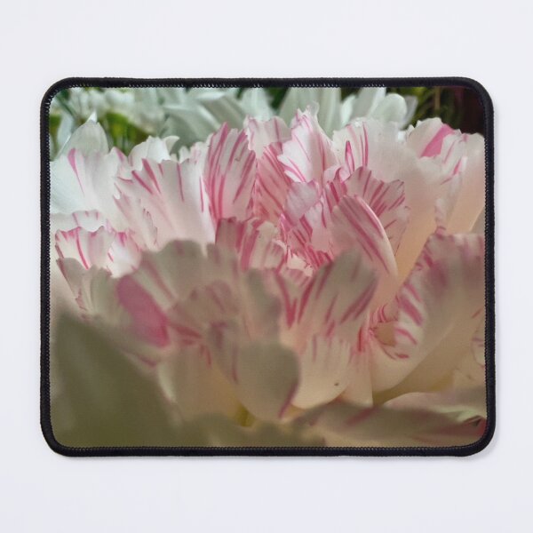Item preview, Pink and White Petals designed and sold by Betsy Phillips.