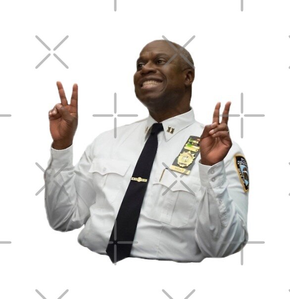 captain holt pop vinyl