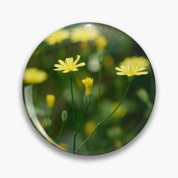 Item preview, The bright  Common nipplewort designed and sold by Jouko Lehto Photography.