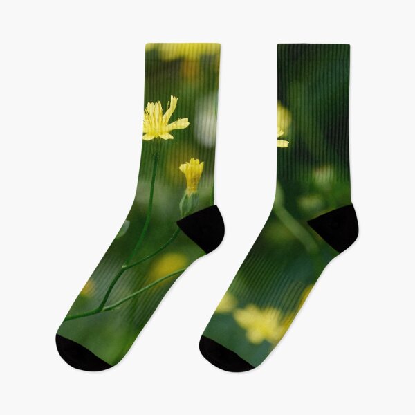 Item preview, The bright  Common nipplewort designed and sold by Jouko Lehto Photography.