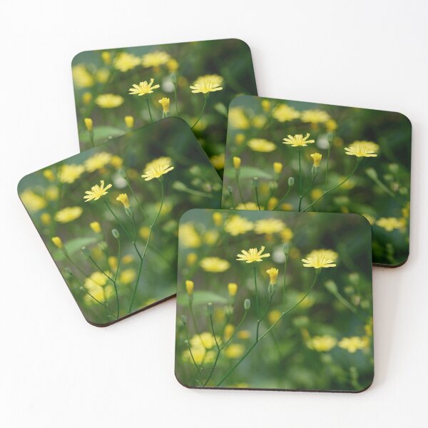 Item preview, The bright  Common nipplewort designed and sold by Jouko Lehto Photography.