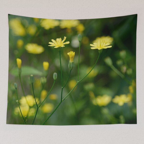 Item preview, The bright  Common nipplewort designed and sold by Jouko Lehto Photography.
