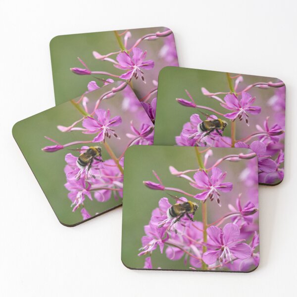 Item preview, White-tailed Bumblebee on fireweed designed and sold by Jouko Lehto Photography.