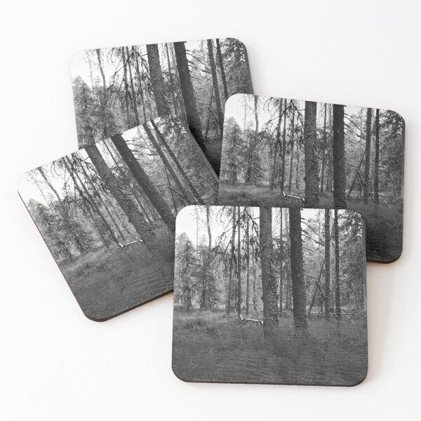 Item preview, Equisetum forest 2. Seitseminen 2024 bw designed and sold by Jouko Lehto Photography.
