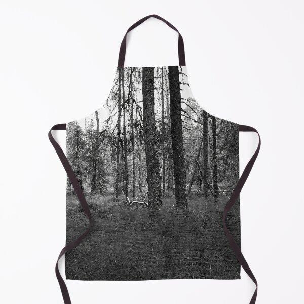 Item preview, Equisetum forest 2. Seitseminen 2024 bw designed and sold by Jouko Lehto Photography.