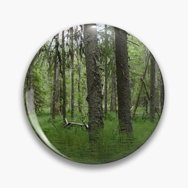 Item preview, Equisetum forest 2. Seitseminen 2024 designed and sold by Jouko Lehto Photography.