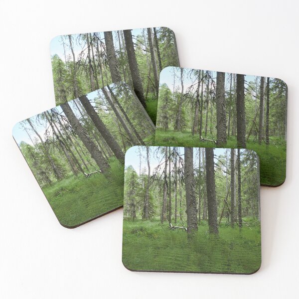 Item preview, Equisetum forest 2. Seitseminen 2024 designed and sold by Jouko Lehto Photography.