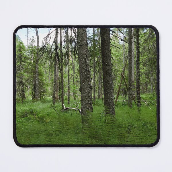 Item preview, Equisetum forest 2. Seitseminen 2024 designed and sold by Jouko Lehto Photography.
