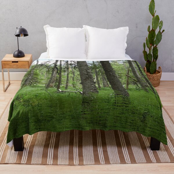 Item preview, Equisetum forest 2. Seitseminen 2024 designed and sold by Jouko Lehto Photography.