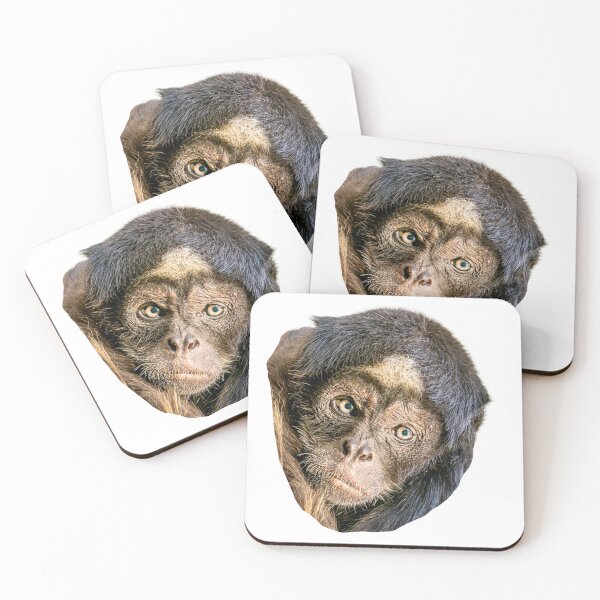 Item preview, The Magical face of a Brown Spider Monkey designed and sold by Dalyndigital Photography.
