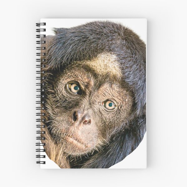 Item preview, The Magical face of a Brown Spider Monkey designed and sold by Dalyndigital Photography.