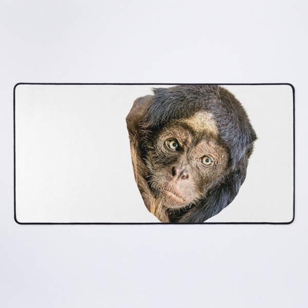 Item preview, The Magical face of a Brown Spider Monkey designed and sold by Dalyndigital Photography.