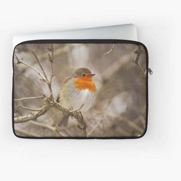 Friendly Neighbourhood Robin Laptop Sleeve