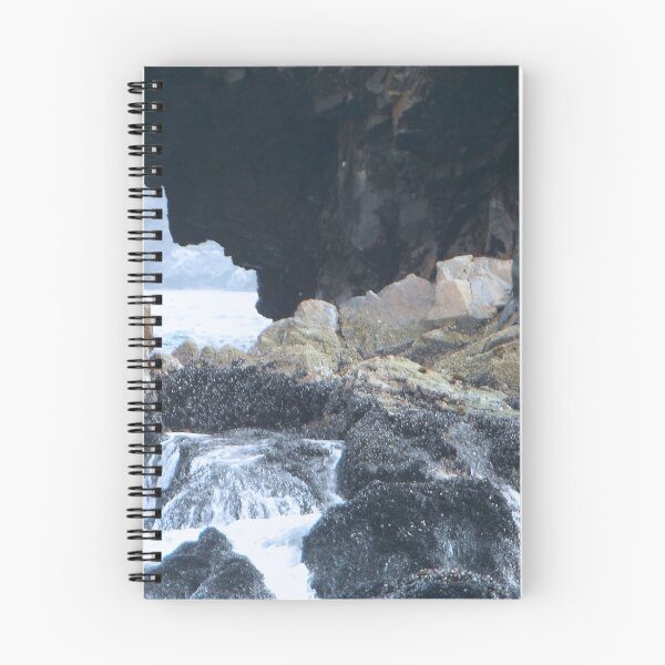 Item preview, Seal Spa On The Rocks - Paracas and Ballestas Islands - Peru - South America designed and sold by exploramum.