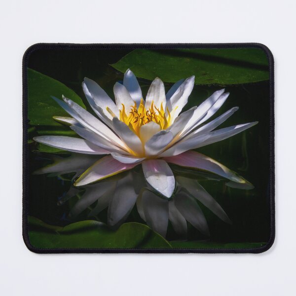 Item preview, Flames in a Flower designed and sold by Ralph Goldsmith.