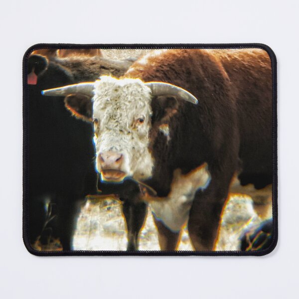 Item preview, Mess With The Bull, You Get The Horns designed and sold by kinkatstyle.