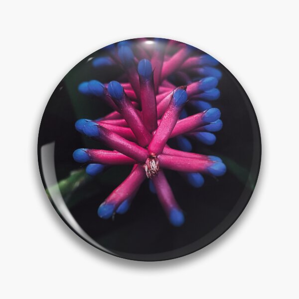 Artikelvorschau, Blaue Spitzen auf rosa Blütenähren wirken fast fremdartig entworfen und verkauft von Kaegyn.