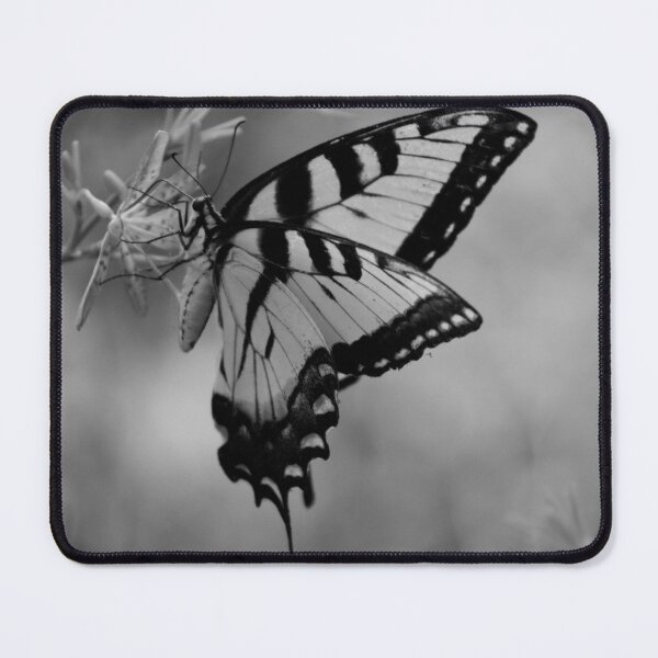 Item preview, Eastern Swallowtail Butterfly B&W designed and sold by MercerImages.