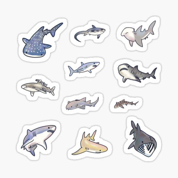 Item preview, Shark kinds pack designed and sold by Artofmayara.