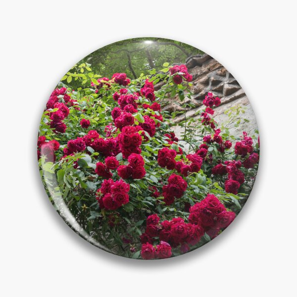 Item preview, Prolific Crimson Rosebush and Antique Stone Wall designed and sold by Georgia Mizuleva.