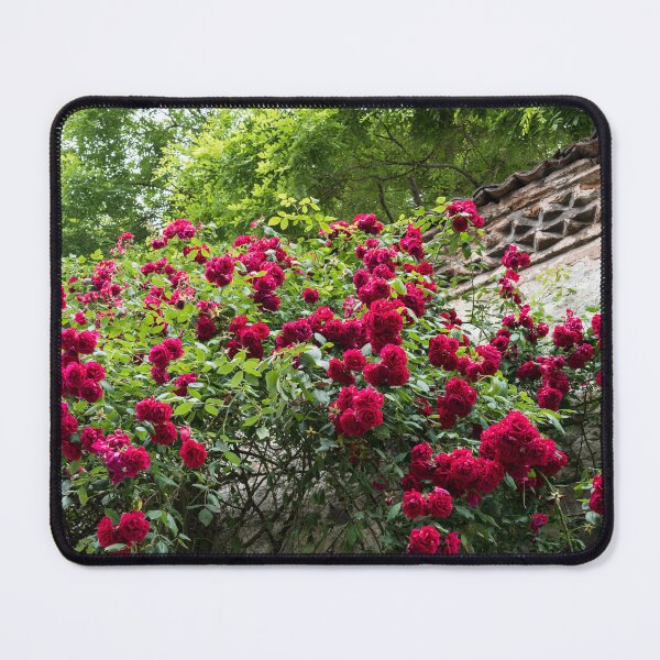 Item preview, Prolific Crimson Rosebush and Antique Stone Wall designed and sold by Georgia Mizuleva.