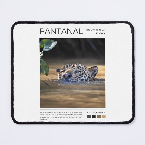 Item preview, Pantanal - Brazil - Photography designed and sold by StudioRedKoala.