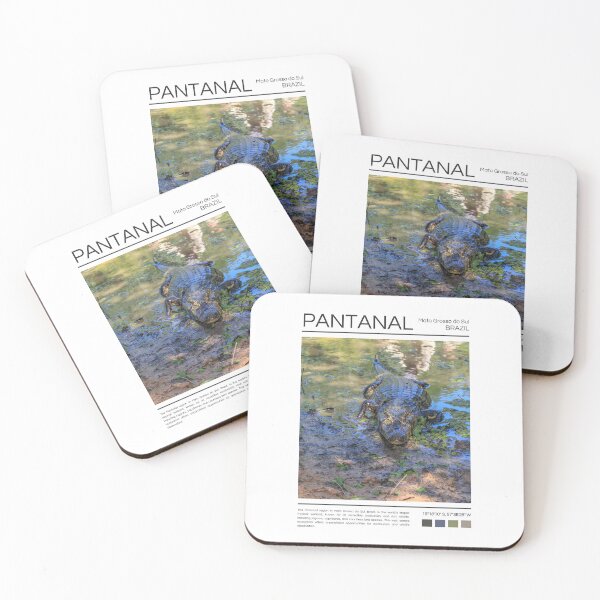 Item preview, Pantanal - Brazil - Photography designed and sold by StudioRedKoala.