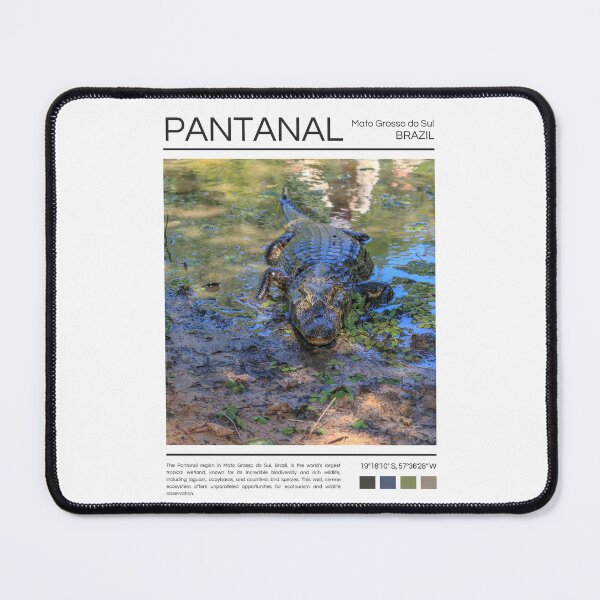 Item preview, Pantanal - Brazil - Photography designed and sold by StudioRedKoala.