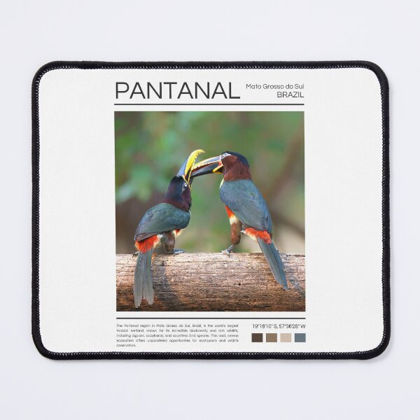 Item preview, Pantanal - Brazil - Photography designed and sold by StudioRedKoala.
