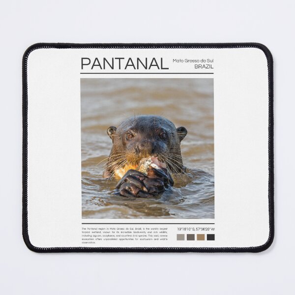 Item preview, Pantanal - Brazil - Photography designed and sold by StudioRedKoala.