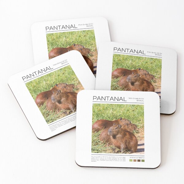 Item preview, Pantanal - Brazil - Photography designed and sold by StudioRedKoala.