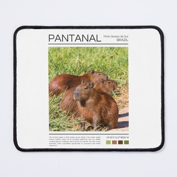 Item preview, Pantanal - Brazil - Photography designed and sold by StudioRedKoala.